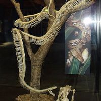 Rob Michael的照片