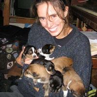 Robin Mckee的照片