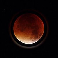 Finnley  Mcveigh的照片