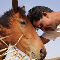 honey (hanwant)'s Photo