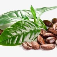 Isaias Sullca Cardenas的照片