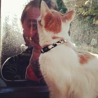 James Cowley's Photo