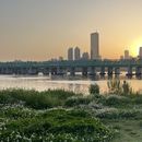 Picnic by Han River 's picture