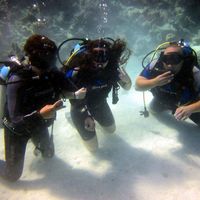 Fotos de Mohamed Sattar