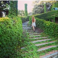 Marianna Vamos的照片