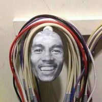 Raffaele Conte的照片