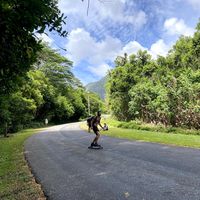 Jeffrey Webster's Photo