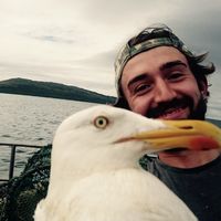 Fraser Paterson的照片