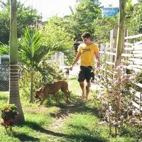 Allan Diniz的照片