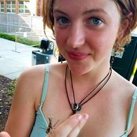 Kyrstin Bruce的照片