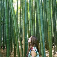 Ana Alvarez的照片