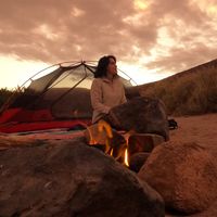 Niki Shah's Photo