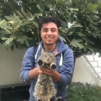 Ali Bitaraf Haghighi的照片