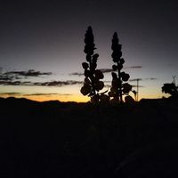 Ntate Sthabi's Photo