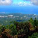 National Park El Yunque的照片