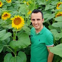 Recep ozturk's Photo