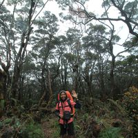 Dovandri Dilon的照片