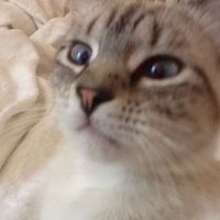 Amy Mayfield's Photo