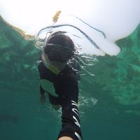 Alvina Tanudjaja's Photo