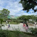 Live on a peaceful hill and teach English's picture
