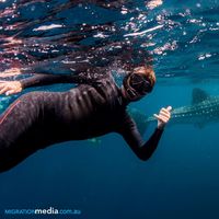 Chris Molony的照片