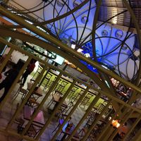 Hardy Traveller的照片