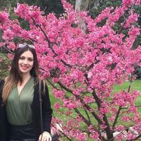 Virgínia Carvalho的照片