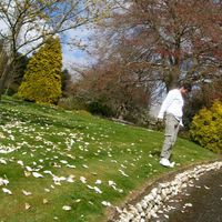 Fotos de Isaac Araujo