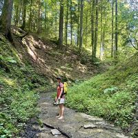 Ramona Gharbi的照片