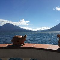 Fotos von Angela Escher