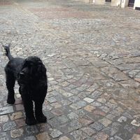 Erica Dawson的照片