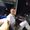 Alessandro  Billi's Photo