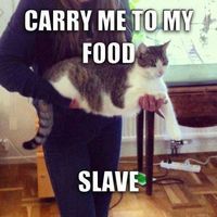 Vanessa Gierz's Photo