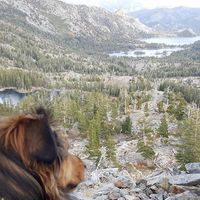 Julie Trinh的照片