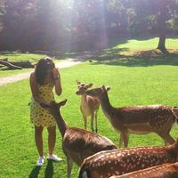 Sanika Diwanji的照片