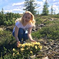 Софья Shoshina的照片