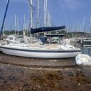 Panama Canal Transit 's picture