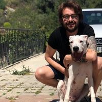 Fotos de Melih Altaş