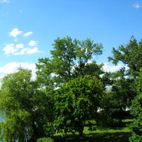 Фотографии пользователя Alfonso Noviello