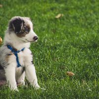 SHAIKH ZUBAIR's Photo