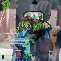 Fabio Di Luca的照片