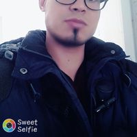 Фотографии пользователя Wael Miled