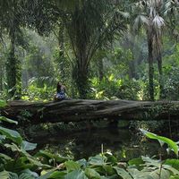 Le foto di Rebeca Méndez