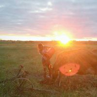 Charlotte Luijendijk's Photo