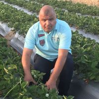 Фотографии пользователя Magdy Osman