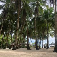 Orland Tubola III's Photo