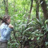 Domi Fischer's Photo