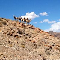 Crystal Clark的照片