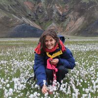 Photos de Lucy Rosenfeld