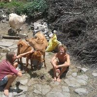 Asbjørn Hansen的照片